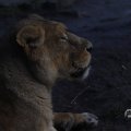 IMG_1680076