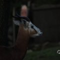 IMG_1680077