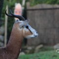 IMG_1680079