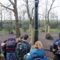 IMG_1680082