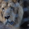 IMG_1680083