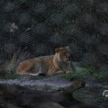 IMG_1680092