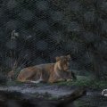 IMG_1680093