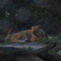 IMG_1680097