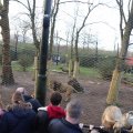 IMG_1680098