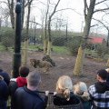 IMG_1680099