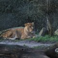 IMG_1680102