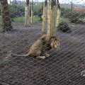 IMG_1680104