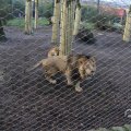 IMG_1680105