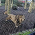 IMG_1680106
