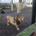 IMG_1680107
