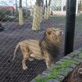 IMG_1680108