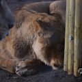 IMG_1680109