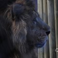 IMG_1680112