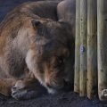 IMG_1680113