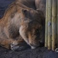 IMG_1680114