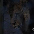 IMG_1680118