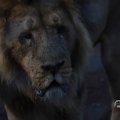 IMG_1680121