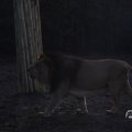 IMG_1680127