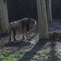 IMG_1680128