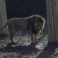 IMG_1680129