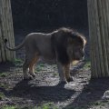 IMG_1680130