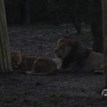 IMG_1680132