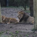 IMG_1680137