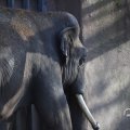 IMG_1680144