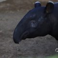 IMG_1680149