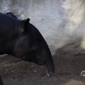 IMG_1680150