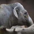 IMG_1680159