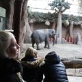 IMG_1680163
