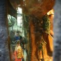 IMG_1680173