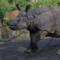 IMG_1680182