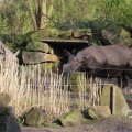 IMG_1680183