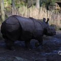 IMG_1680184