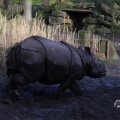 IMG_1680185