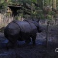 IMG_1680186