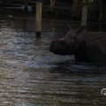 IMG_1680189