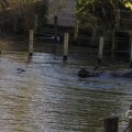 IMG_1680190