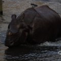 IMG_1680193