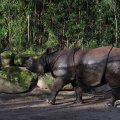 IMG_1680197