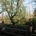 IMG_1680206