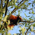 IMG_1680208
