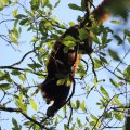 IMG_1680209