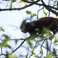 IMG_1680215