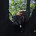 IMG_1680221