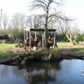IMG_1680227