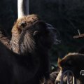 IMG_1680229